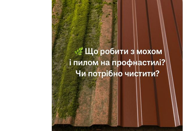 Що робити з мохом і пилом на профнастилі, потрібно чистити дах і як це правильно робити